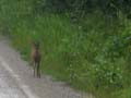 Alaska Photo Gallery